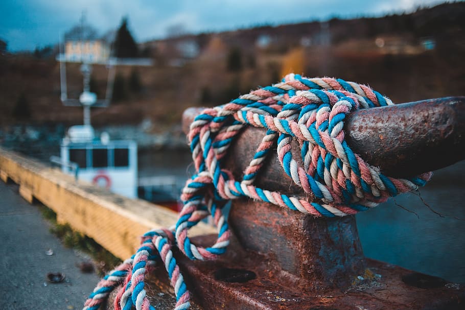teal and pink rope, animal, dinosaur, reptile, knot, rust, boat HD wallpaper