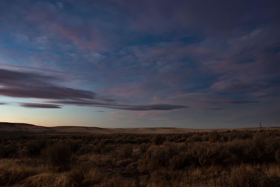 Brown Grass Field, cropland, dawn, daylight, desert, grassland HD wallpaper