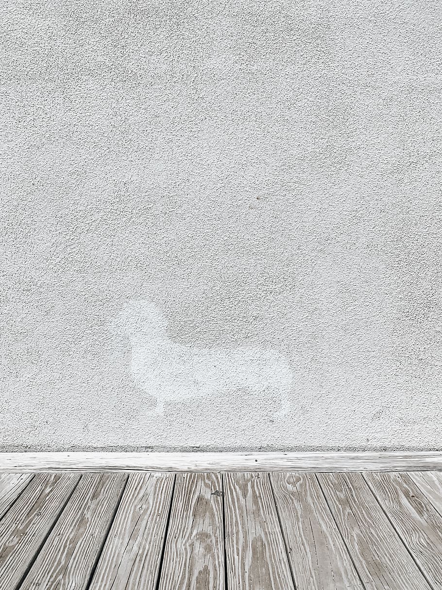 rug, flooring, wall, sidewalk, logo, white, dog, summer, ocean, HD wallpaper