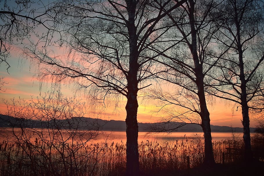 sunset, mood, landscape, clouds, evening sky, atmosphere, water HD wallpaper