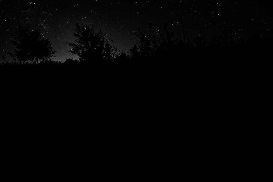 germany, ahrenshoop, night, sky, shadow play, black, silhouette HD wallpaper