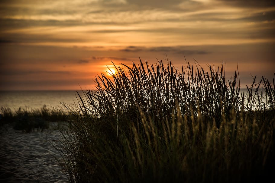 sunset, evening sun, abendstimmung, sky, mood, orange, romantic HD wallpaper