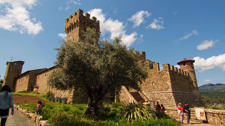 united states, calistoga, castello di amorosa, italy, castle, HD wallpaper