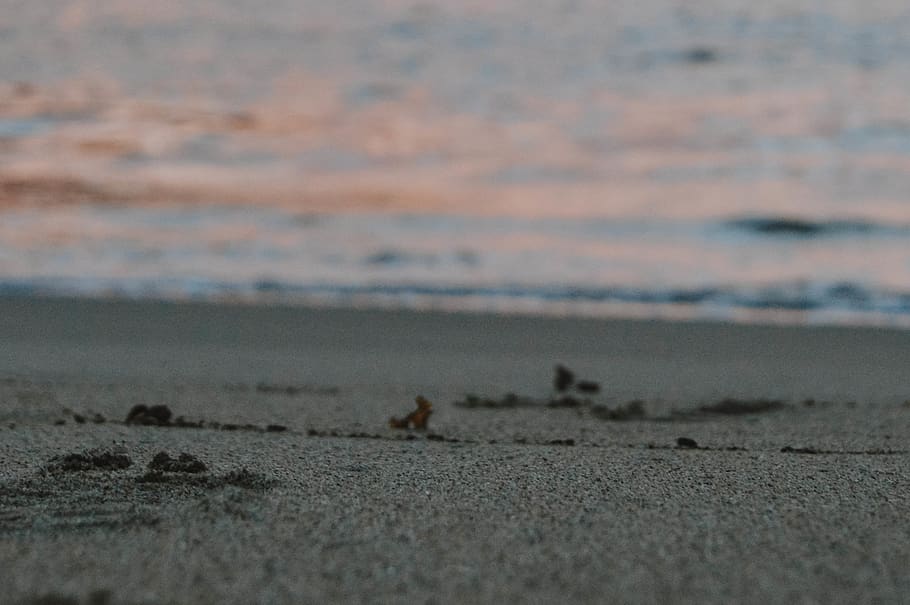 empty seashore during golden hour, playa de los muertos, mexico HD wallpaper
