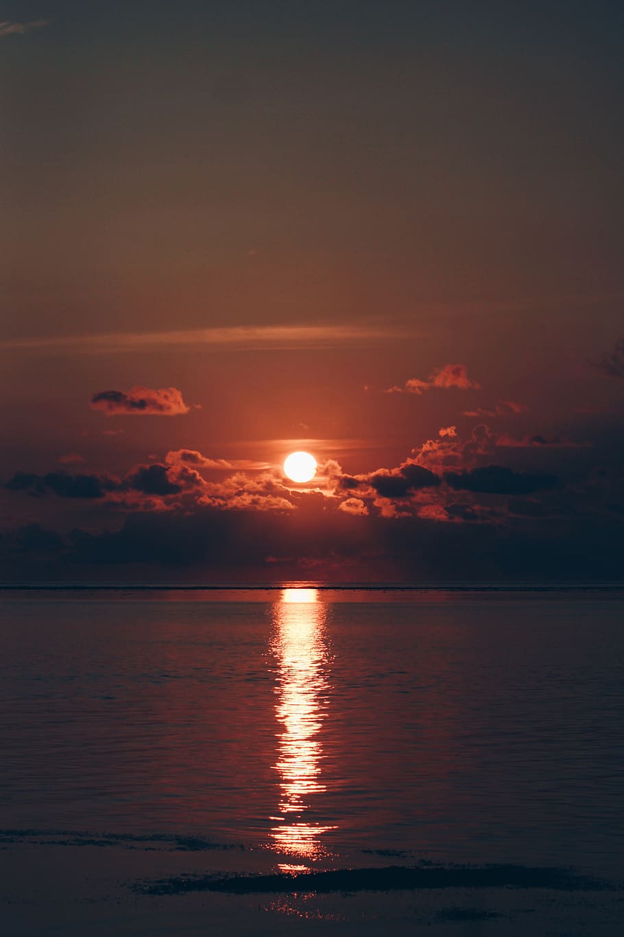 sunset by the water, nature, outdoors, sunlight, dawn, dusk, sky HD wallpaper