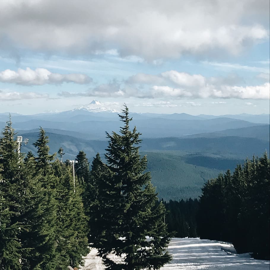 mountain, conifer, trees, snow, snow capped, cloud - sky, beauty in nature HD wallpaper