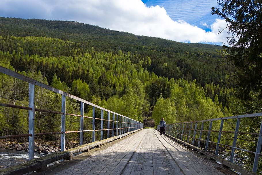 Norway, forest, mountian, bridge, travel, photo, color, amazing HD wallpaper