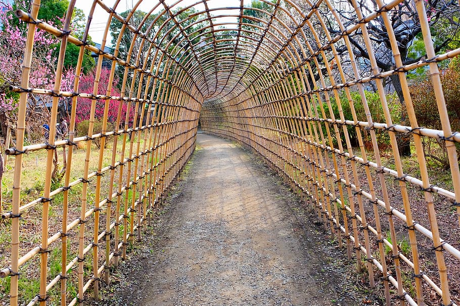 bamboo, arch, flowers, gate, trail, the way forward, direction HD wallpaper