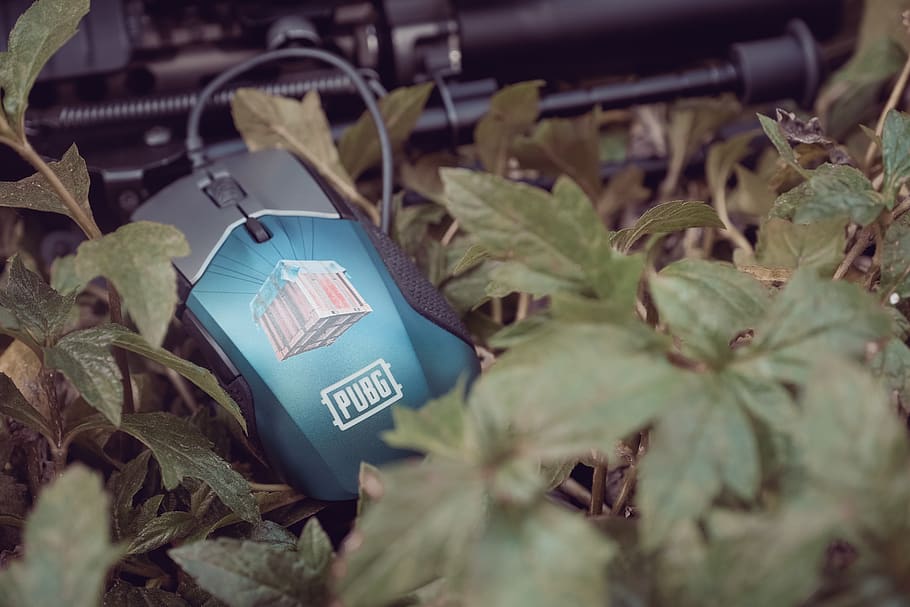 gaming mouse, pubg, steelseries, playerunknown's battlegrounds, HD wallpaper