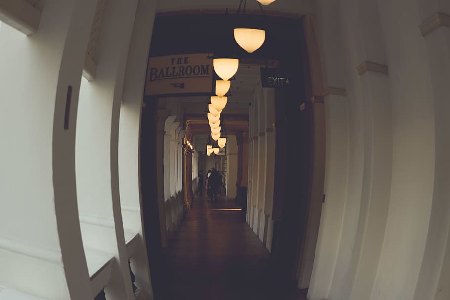 corridor, lobby, hotel, curved, lamps, lighting equipment, architecture HD wallpaper