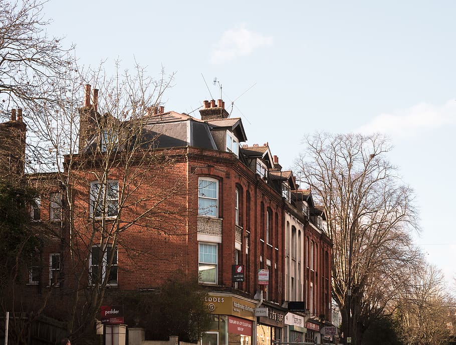 london, united kingdom, forest hill, bricks, house, sping, sun