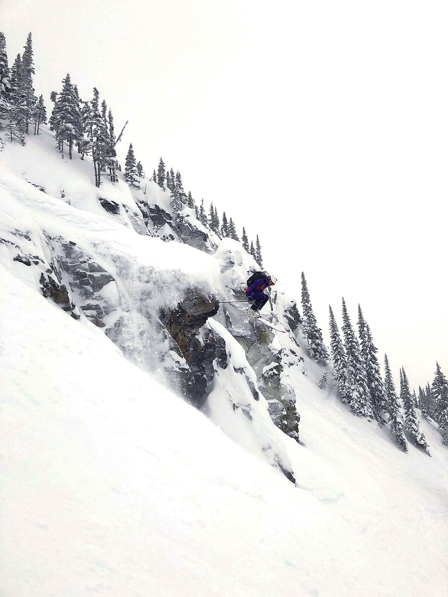 man riding on snow ski, nature, outdoors, revelstoke, tree, plant HD wallpaper