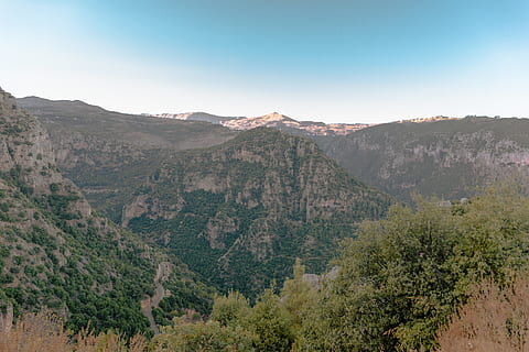 HD wallpaper: lebanon, ehden, snow, tree, cold temperature, winter ...