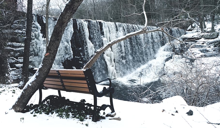 Snow Covered With Brown and Black Steel Couch, branches, cold HD wallpaper