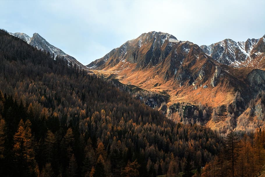 Scenic View of the Mountains, cold, conifers, daylight, environment HD wallpaper