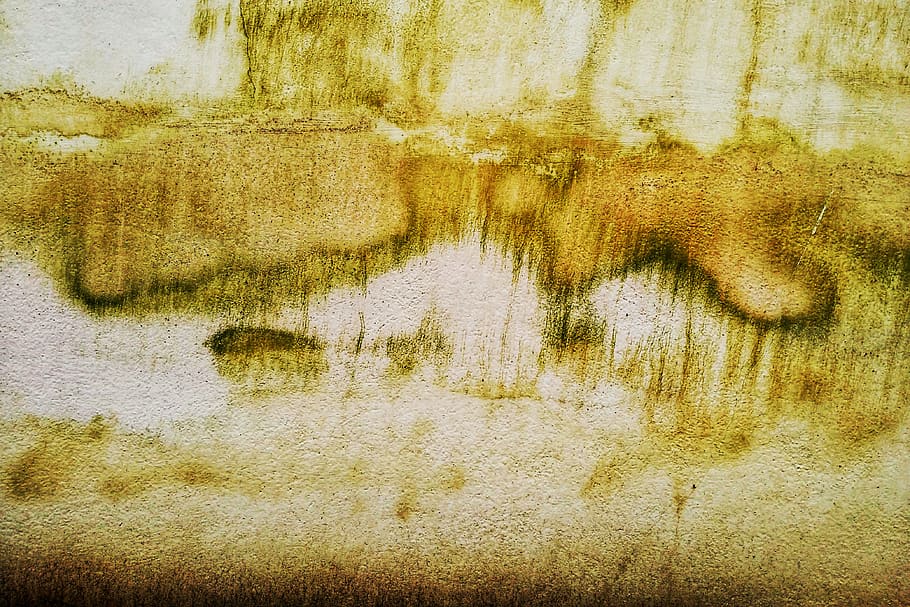 background, wall, texture, rough, moisture, dirt, abstract HD wallpaper