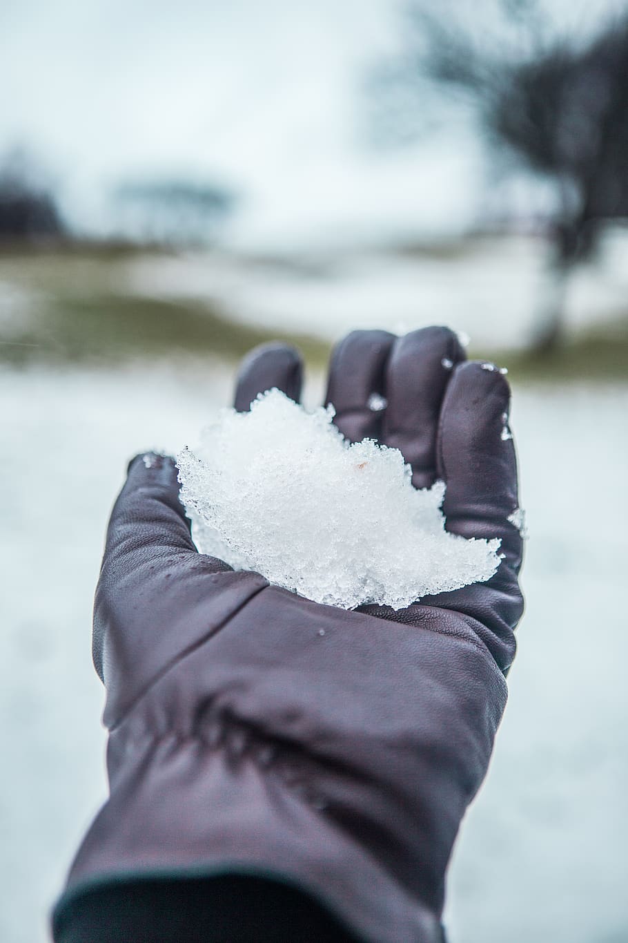 snow, snowball, one person, cold temperature, winter, real people HD wallpaper