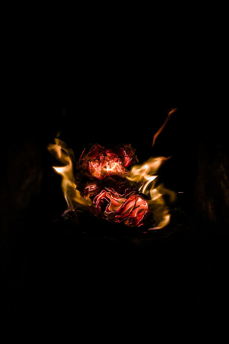 red and orange burning flame, copy space, black background, indoors HD wallpaper