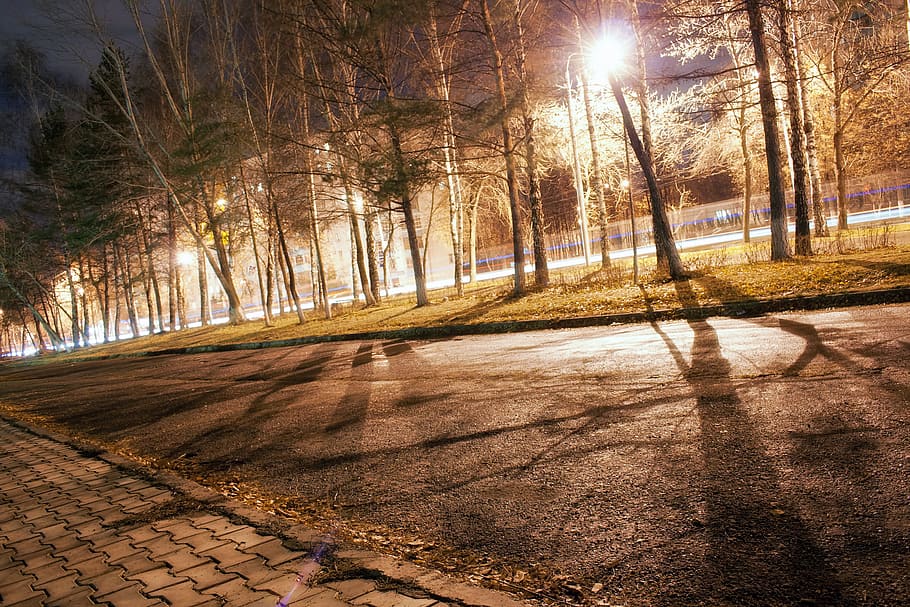 dark, outdoor, tree, evening, night, trees, road, plant, sunlight HD wallpaper