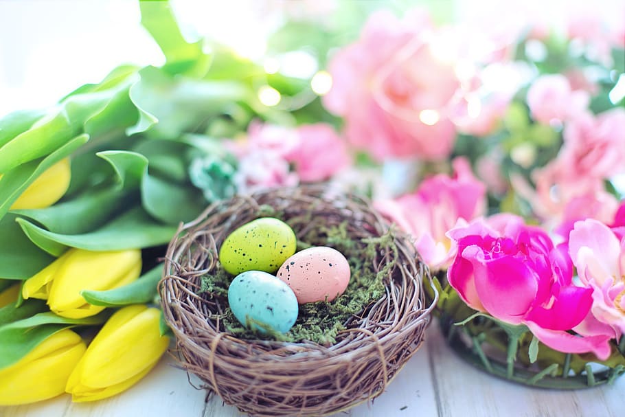 easter, nest, eggs, flowers, colorful, spring, pastels, still life