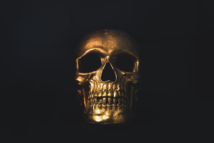 gold skull decor, human skeleton, human body part, horror, human skull HD wallpaper