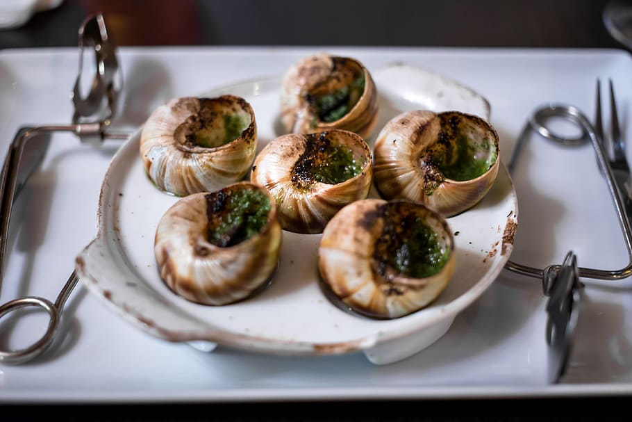 Escargot, classic, dinner, dish, escargots, france, french, lunch, HD wallpaper