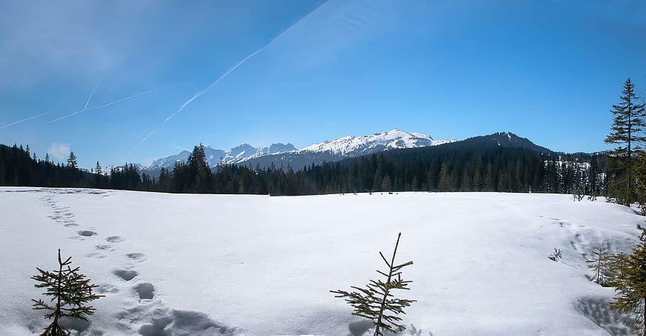 frozen, ice, snow, winter, white, nature, landscape, high, height HD wallpaper