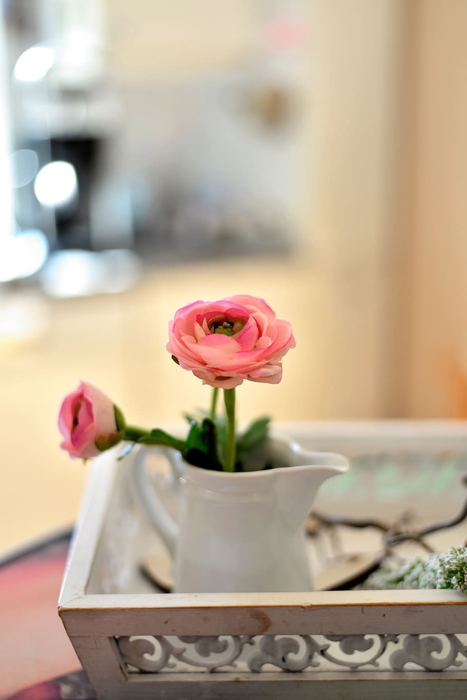 ranunculus, blossom, bloom, tender, spring, pink, romantic HD wallpaper