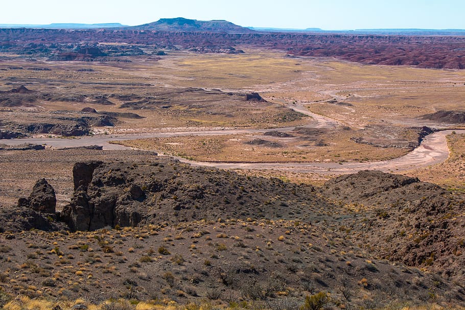 petrified forest national park, desert, arizona, dry riverbed, HD wallpaper