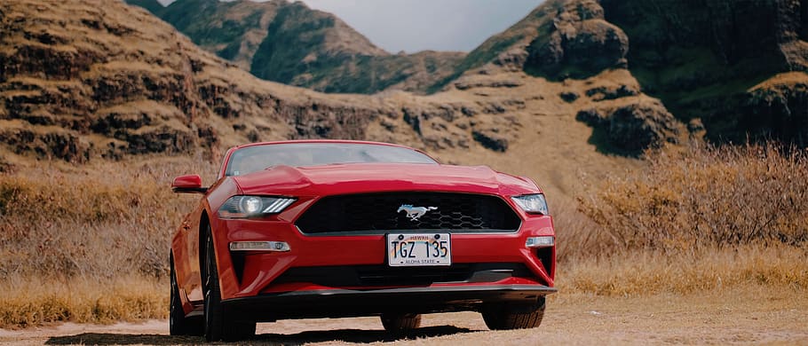 red Ford Mustang, mode of transportation, car, motor vehicle HD wallpaper