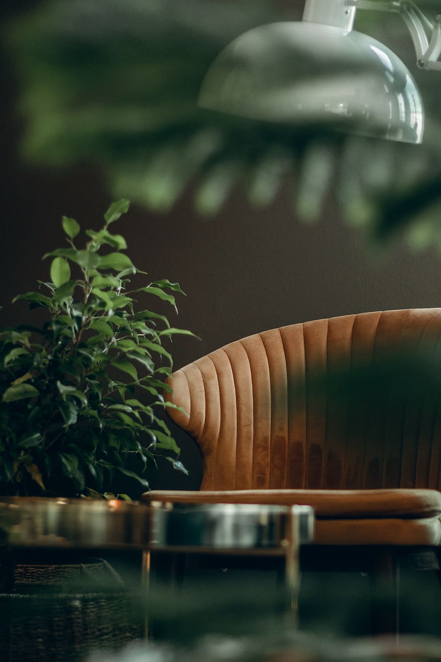brown leather lounge chair beside green plant, pottery, vase, HD wallpaper
