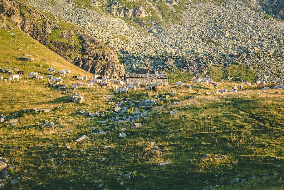 Green Mountain, adventure, color, daylight, environment, explorer HD wallpaper