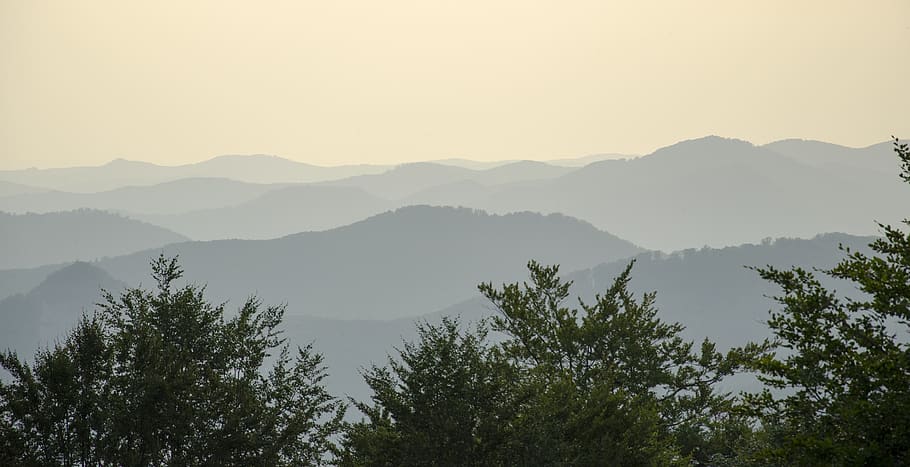 romania, şuior, forest, trees, fog, sunset, mountain, scenics - nature HD wallpaper