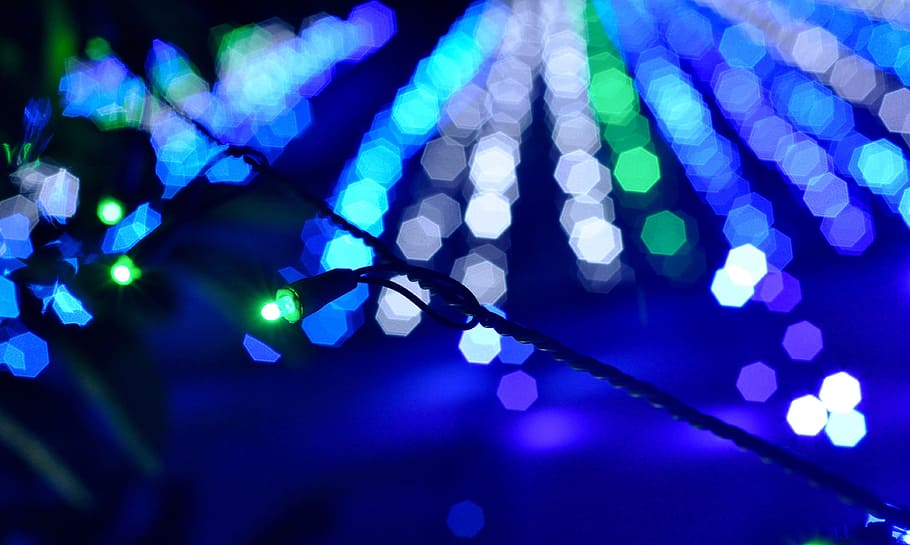 branch, light, sunlight, flower, petal, color, blue, lighting HD wallpaper