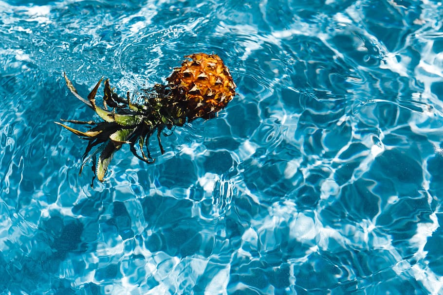 Pineapple in a swimming pool, day, summer, water, copyspace, fruits