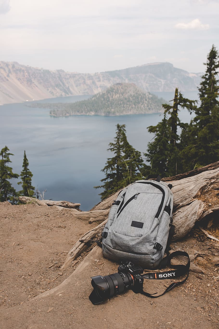 gray and black backpack beside gray tree log and black Sony DSLR camera HD wallpaper