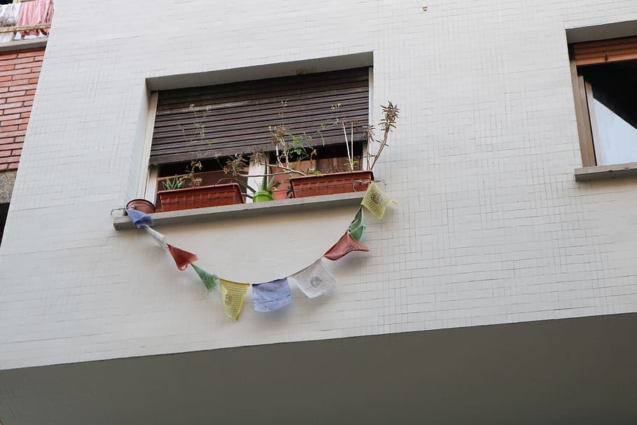 spain, barcelona, windowsill, banner, organic, paper, spanish, HD wallpaper