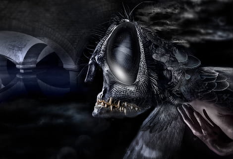 strange, background, scary, risk, dangerous, evil, creepy, weird HD wallpaper