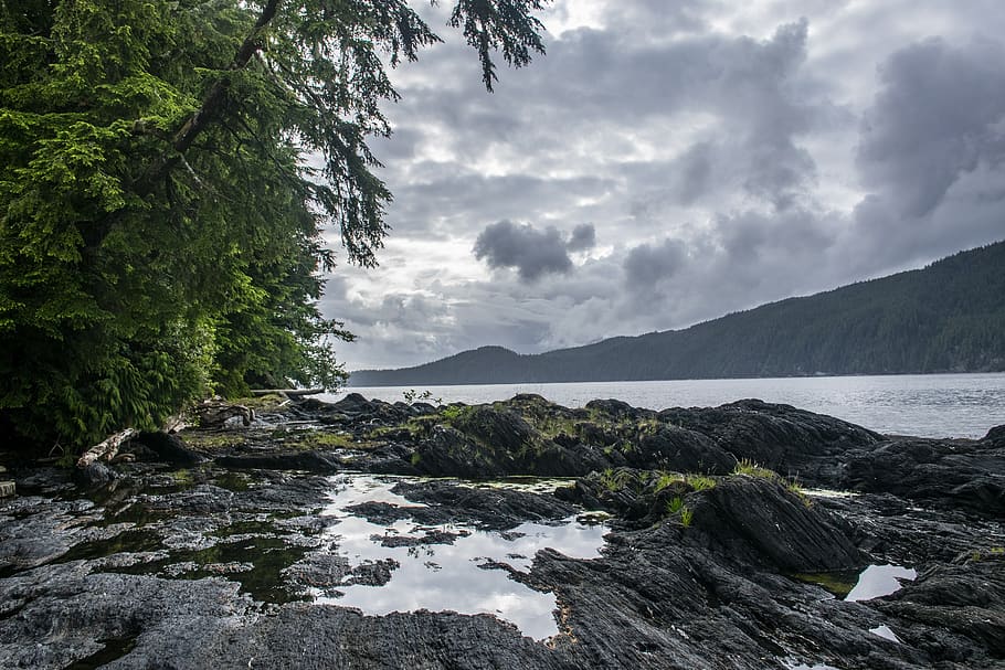 rocks, water, clouds, trees, sea, canada, beauty in nature HD wallpaper