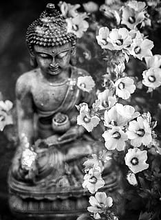 Gautama Buddha statue, art, worship, human, person, people, blossom HD wallpaper