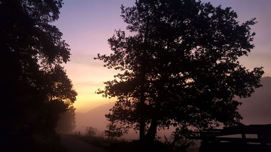 landscape, sunrise, trees, plant, sky, sunset, silhouette, beauty in nature HD wallpaper