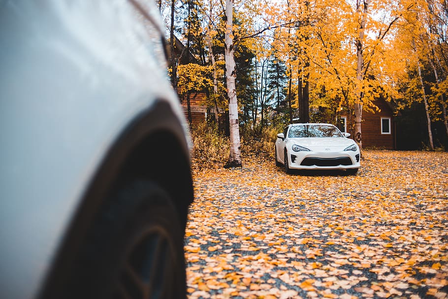 white coupe parked under brown trees, road, dirt road, gravel HD wallpaper