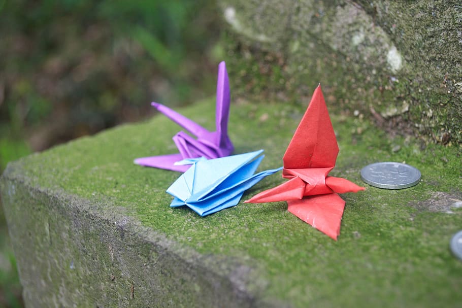 japan, crane, paper, 神社, color, green, moss, money, blue, HD wallpaper