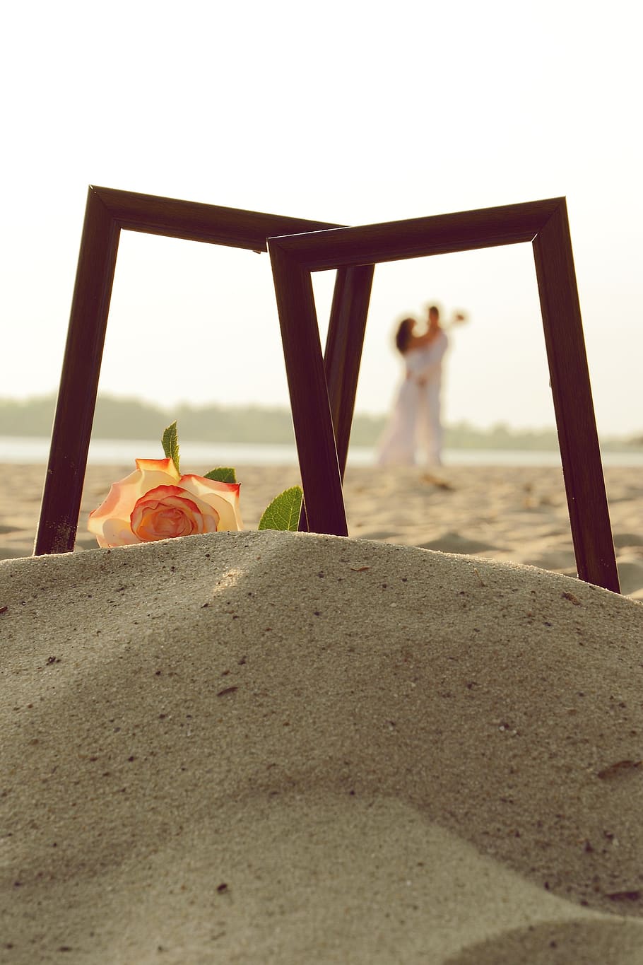 frame, couple, sand, romantic, love, photo, rose, wedding, sun, HD wallpaper