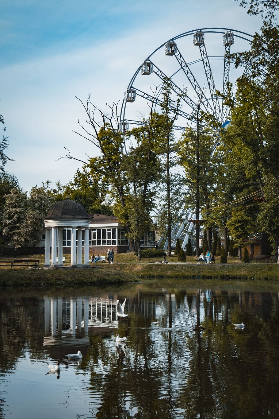 Black Ferris Wheel Near Body of Water, daylight, daytime, grass HD wallpaper