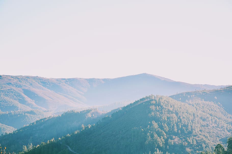 nature, moutain, landscape, trees, scenics - nature, mountain HD wallpaper