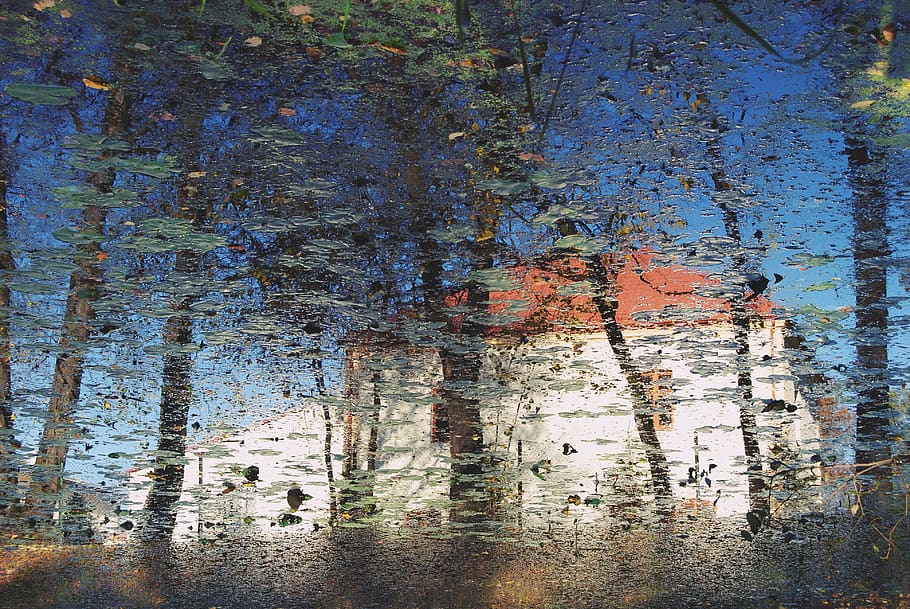 reflection, pond, landscape, nature, tree, river, sky, reflections HD wallpaper
