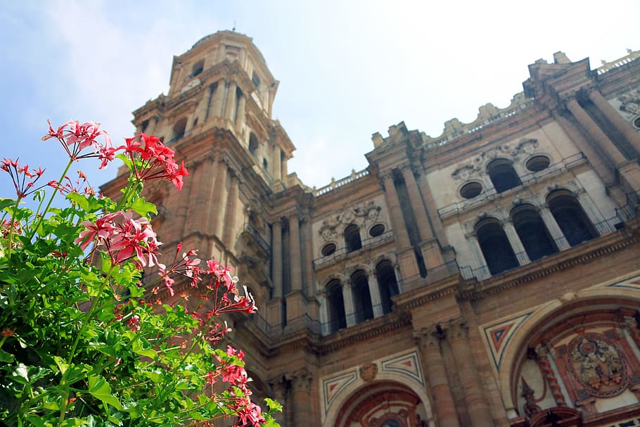 malaga cathedral, architecture, building, building exterior HD wallpaper