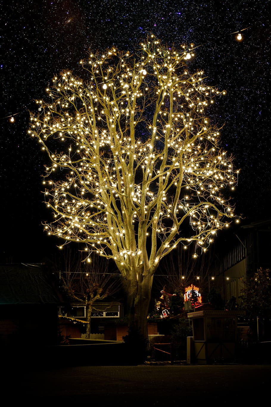 tree, lighting, decoration, christmas, advent, christmas market HD wallpaper