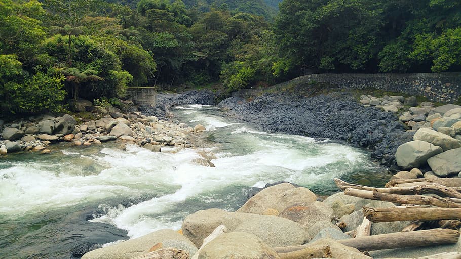 ecuador, río verde, river, baños, water, tree, scenics - nature